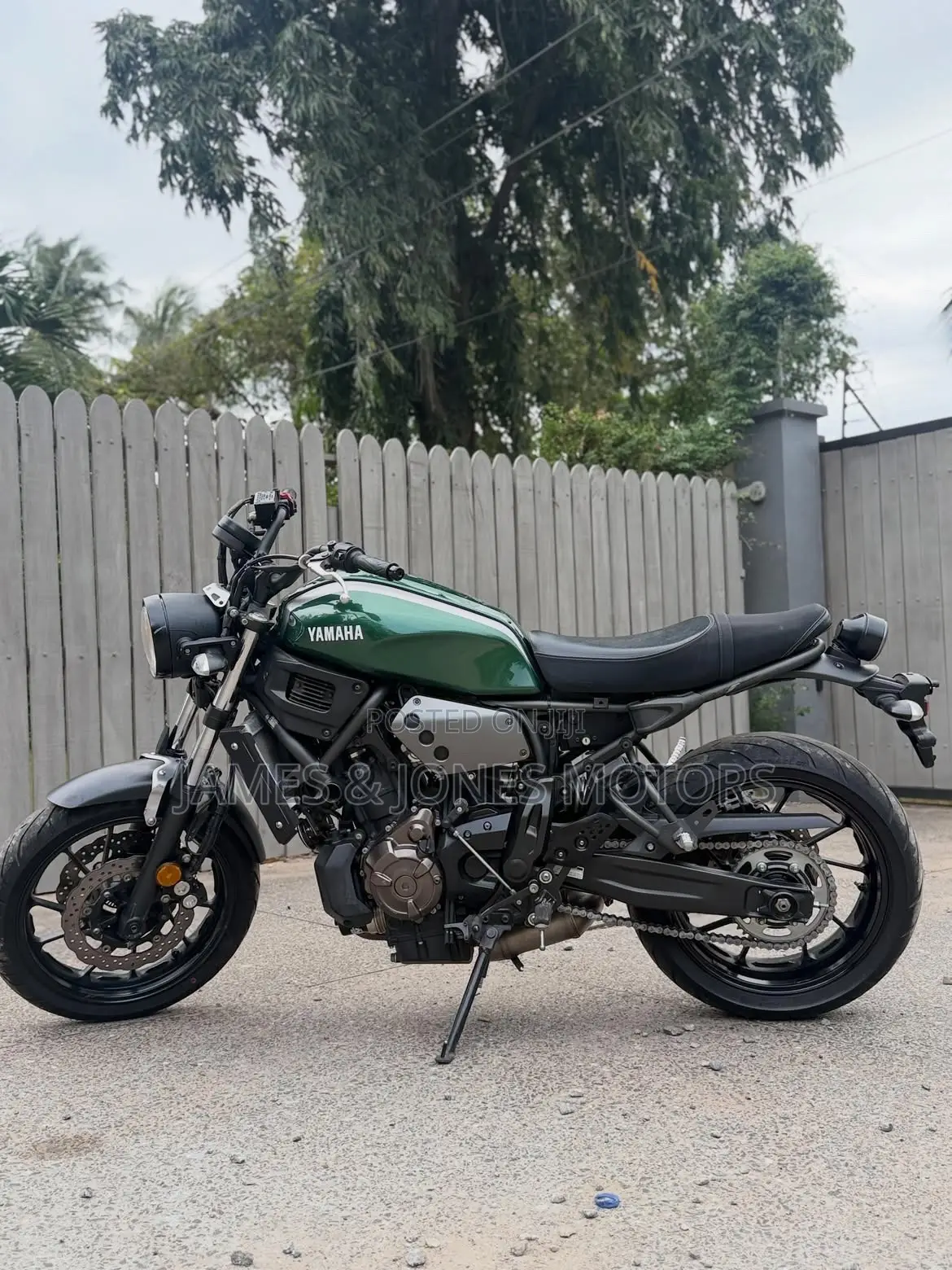 Yamaha XSR700 2022 Green
