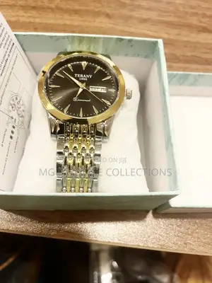 TERANY Men's Two-Tone Stainless Steel Quartz Watch (Black Dial)