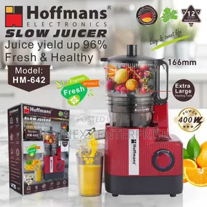 Hoffmans Electronics HM-642 400W Slow Juicer