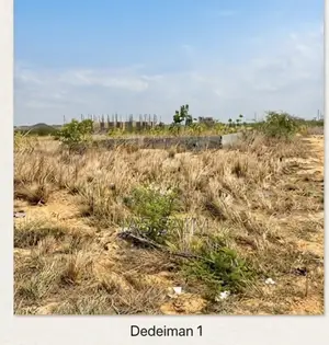 Plot of Kant at Dedeiman
