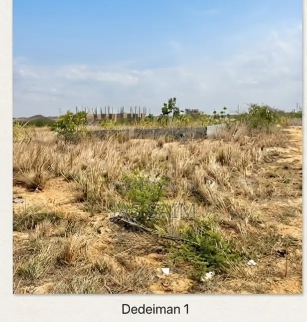 Plot of Kant at Dedeiman