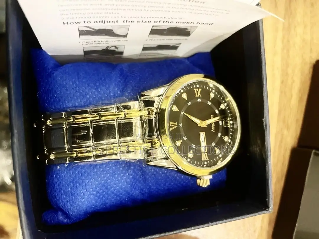 Gold Luxury Men's Stainless Steel Watch (Brand New in Box)