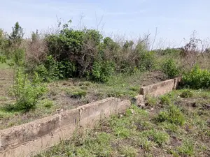 CENTYRAL REGION, WINNEBA (GYATAKROM) _ 2 Plots Building Land