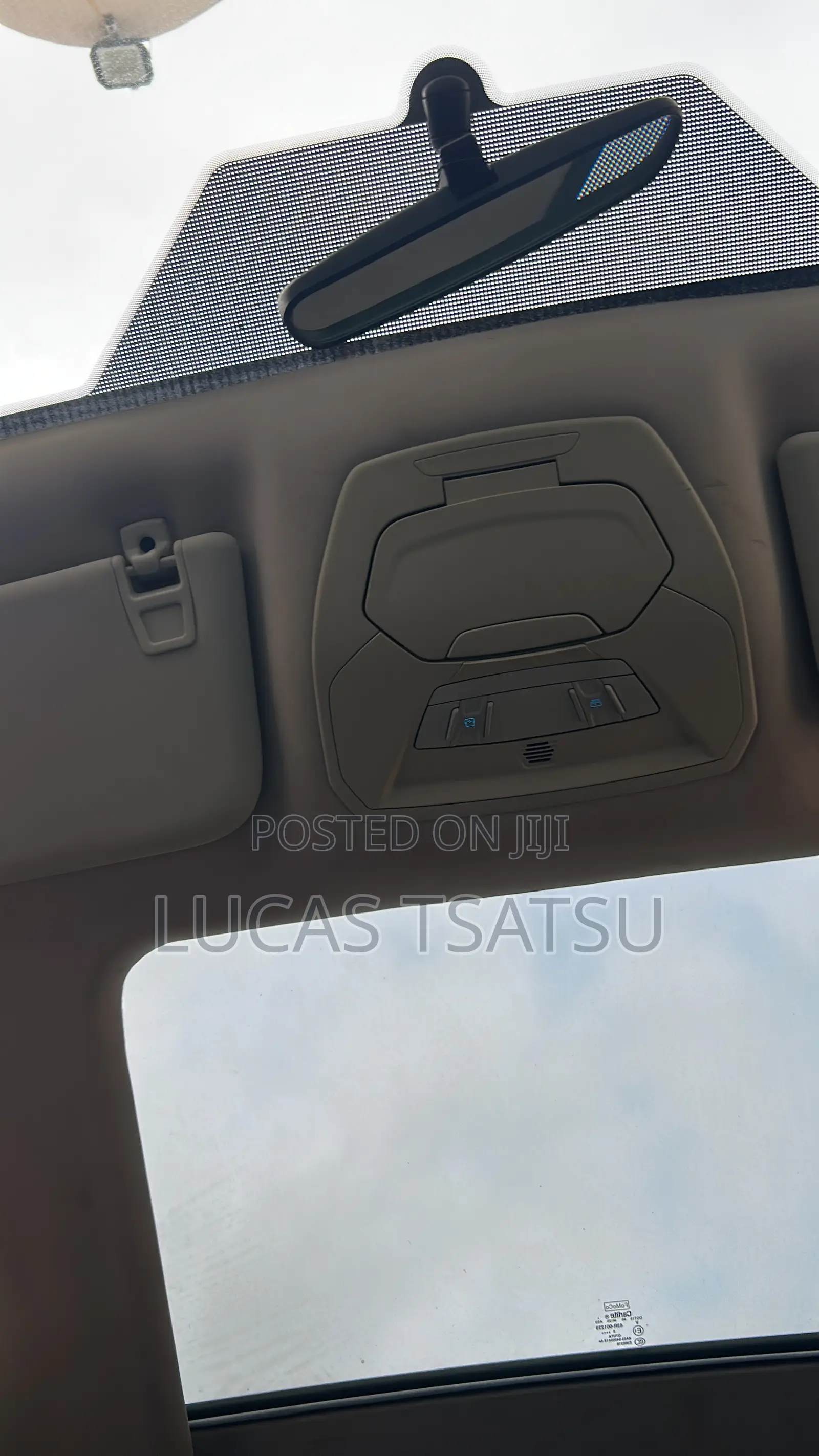 Ford Escape SE 2013 Green