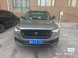 Zotye T700 2017 Gray