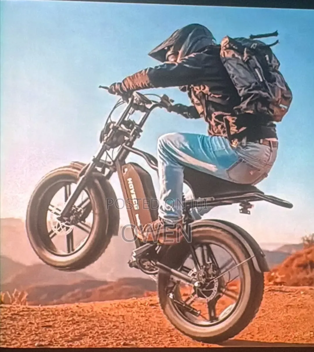 Electric Bike