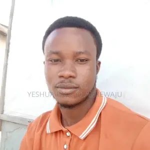 Car Sales Manager