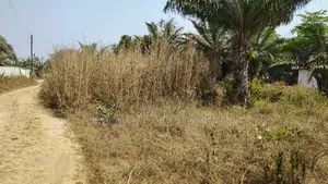CENTRAL REGN, WINNEBA (LOWCOST JUNCTION) _ 2 Plots Commercial Land