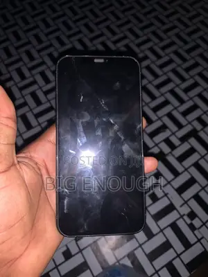 Apple iPhone 12 Pro Max 128 GB Blue