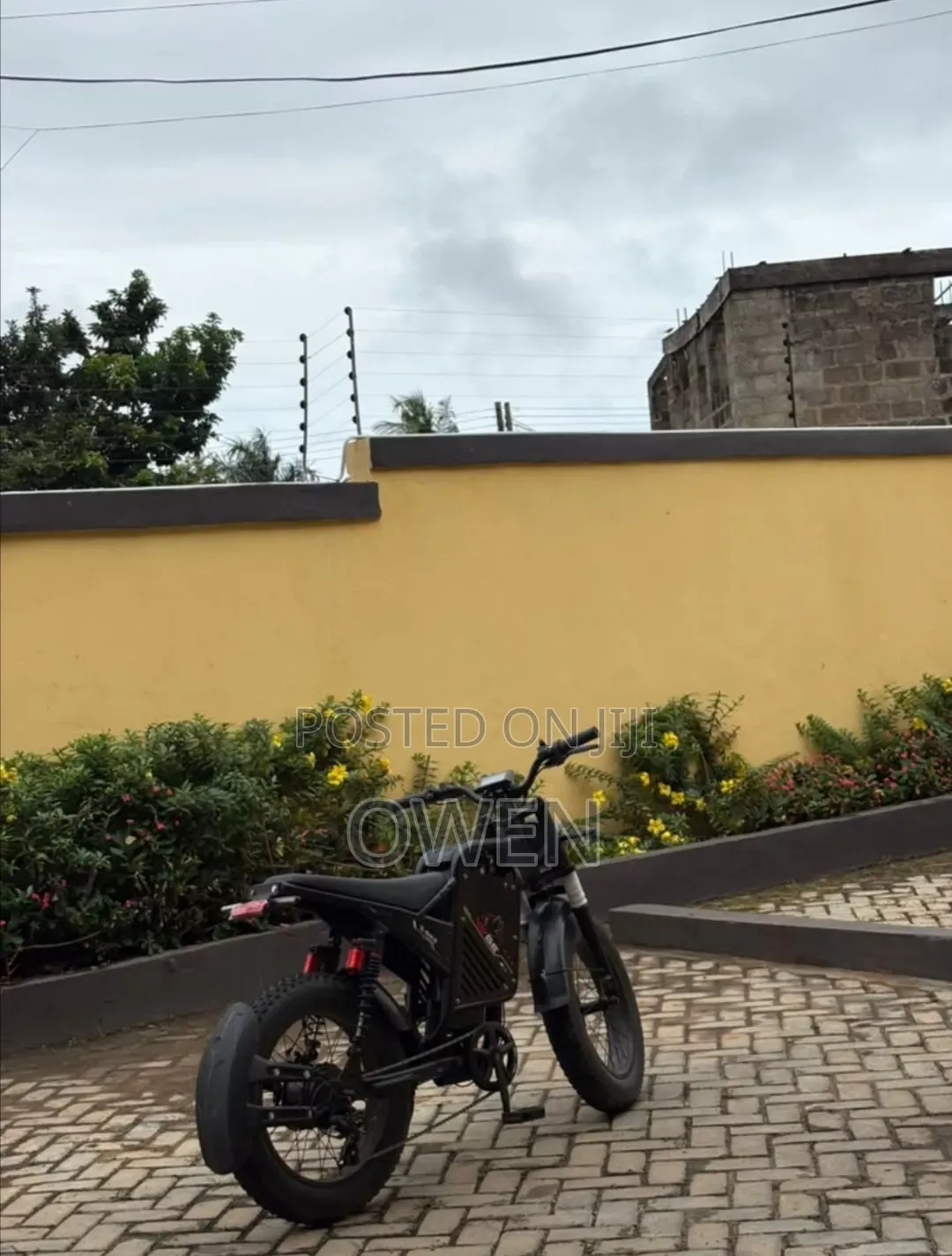 Electric Bike