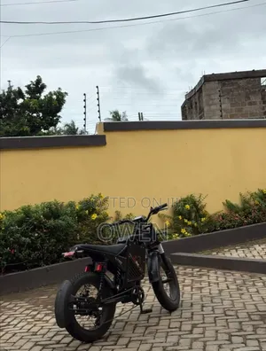 Electric Bike