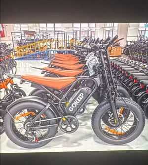 Electric Bike