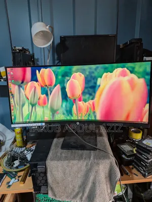 Gaming Monitor