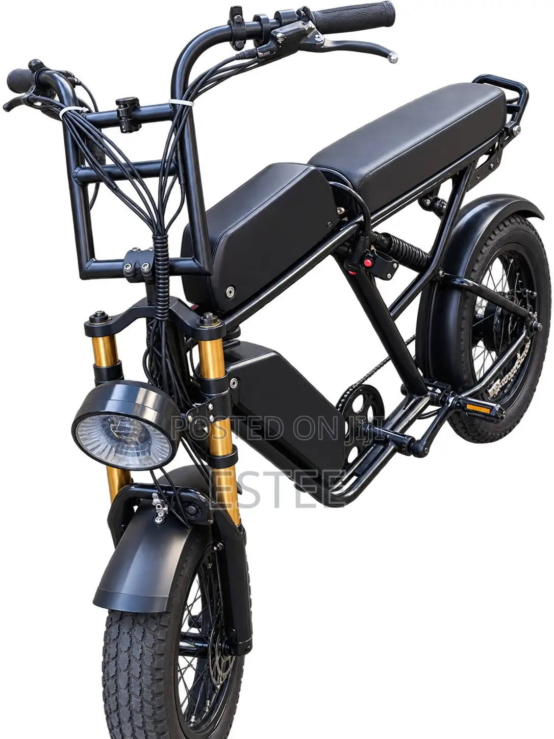 Electronic Bike