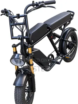 Electronic Bike