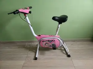 Pink Exercise Bike