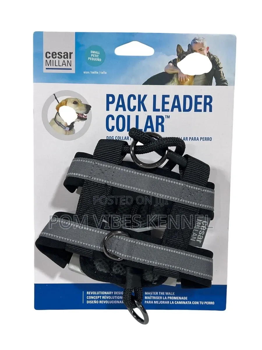 Cesar Millan Pack Leader Collar