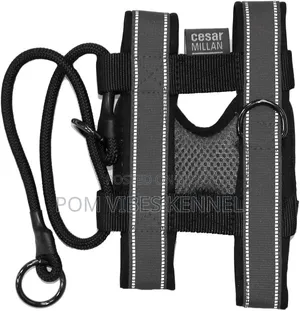 Cesar Millan Pack Leader Collar