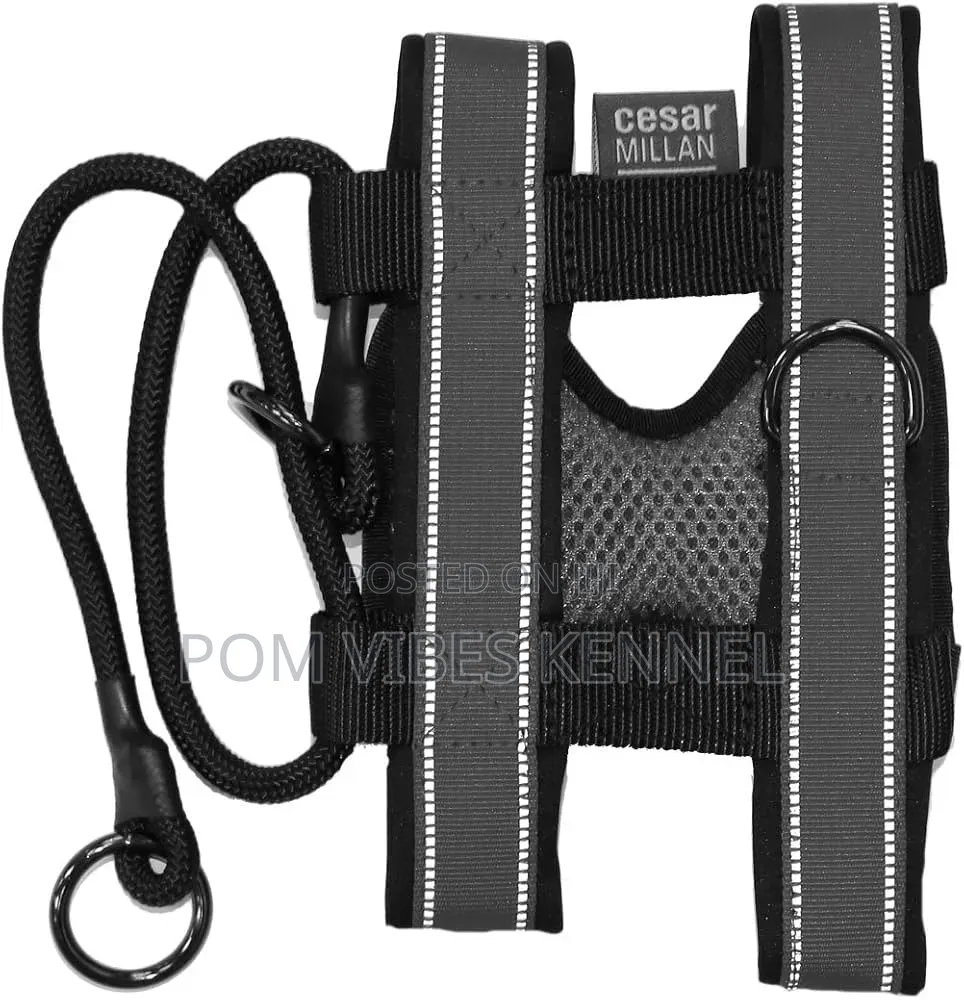 Cesar Millan Pack Leader Collar