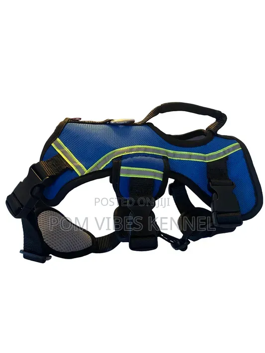 Escape-Proof Royal Blue Pet Safety Harness