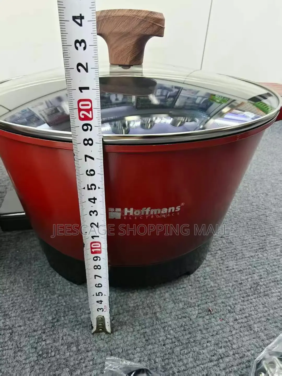 Hoffmans Multifunctional Electric Hot Pot HM-3060