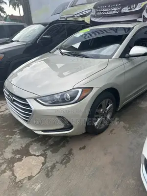 Hyundai Elantra 2018 Gray