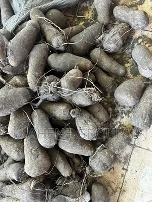 Pona Yam Heads (Mpoh)