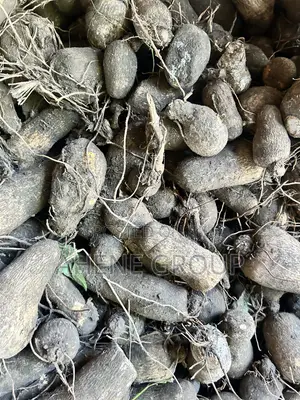 Pona Yam Heads (Mpoh)