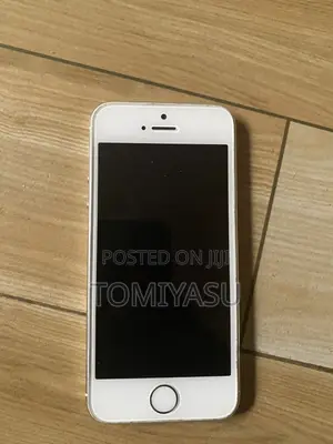 Apple iPhone 5s 16 GB Silver