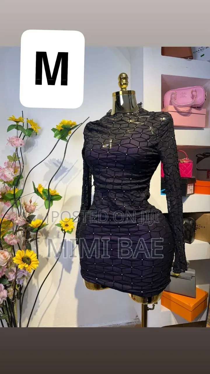 Ladies Shien Dresses