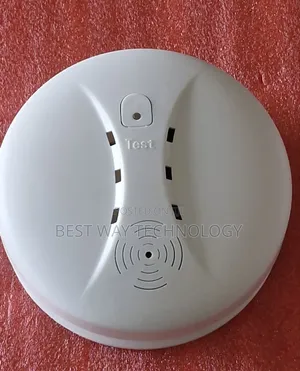 Smoke Detector With Battery