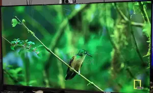 Quality Samsung 55 Inches Led Uhd Crystal Smart TV