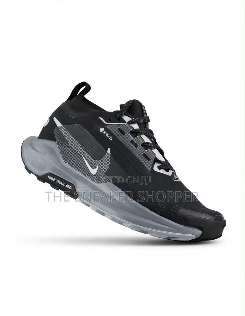 Nike Pegasus Trail 5 GORE-TEX