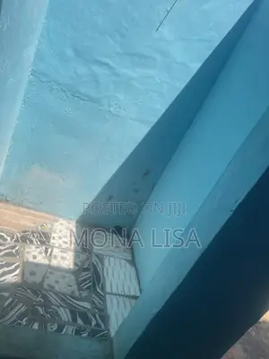 1bdrm Apartment in Bubiashie, Ola Balm for rent