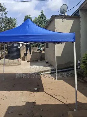 10x10 Heavy Foldable Tent (Canopies)