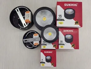 Redeemed Recessed Surface Mount Ceiling Spot Light