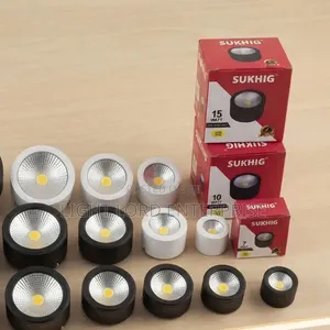 Redeemed Recessed Surface Mount Ceiling Spot Light