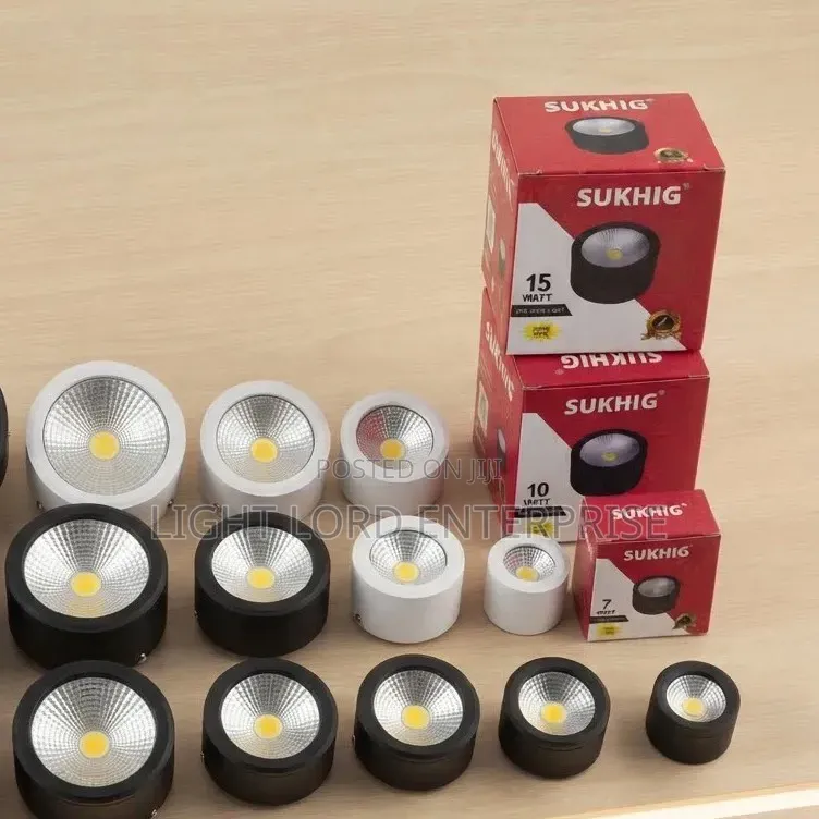 Redeemed Recessed Surface Mount Ceiling Spot Light