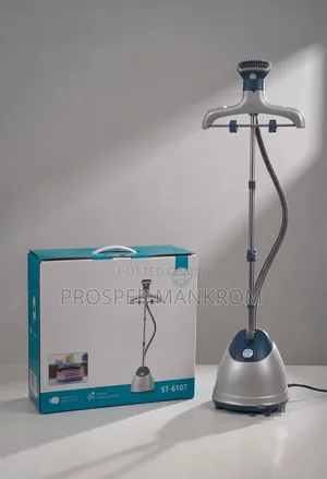Garment Steamer