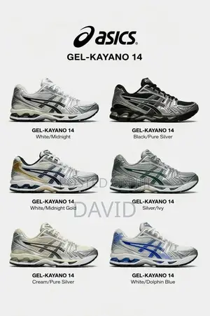 Ascics Gel Kayano