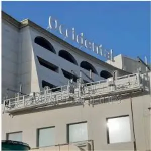 Suspended Craddle Platform for Rent