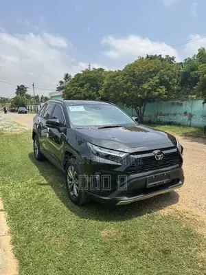 Toyota RAV4 XLE Premium FWD 2024 Black