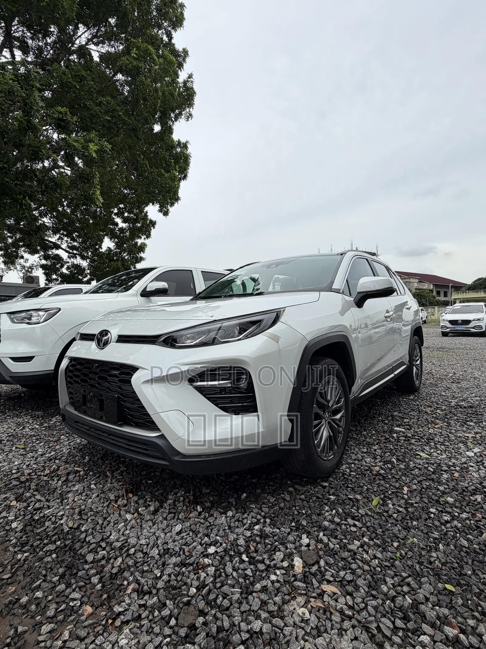 Toyota RAV4 XLE Premium FWD 2023 Black