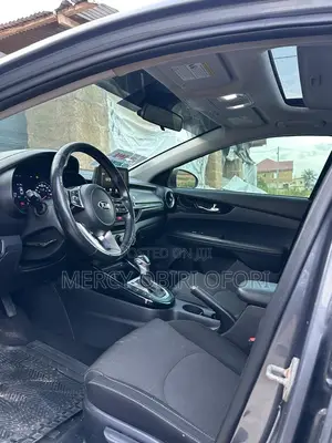 Kia Forte EX 2019 Gray