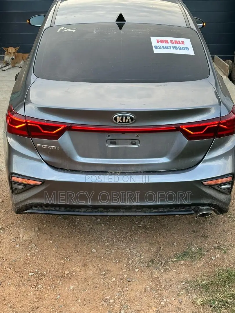 Kia Forte EX 2019 Gray