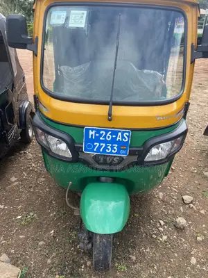 TVS King Deluxe Plus iTouch Start 2026 Green