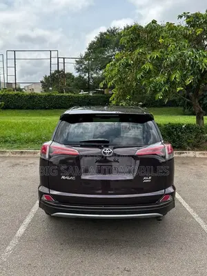 Toyota RAV4 XLE 4dr SUV AWD (2.5L 4cyl 6A) 2018 Burgundy