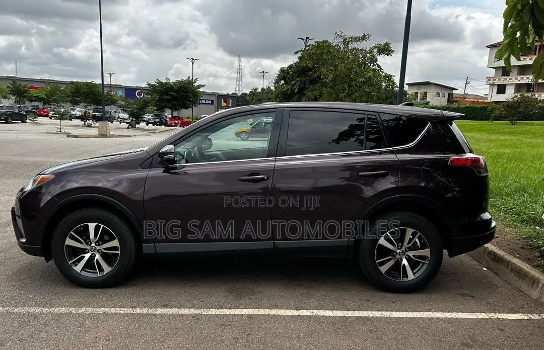 Toyota RAV4 XLE 4dr SUV AWD (2.5L 4cyl 6A) 2018 Burgundy