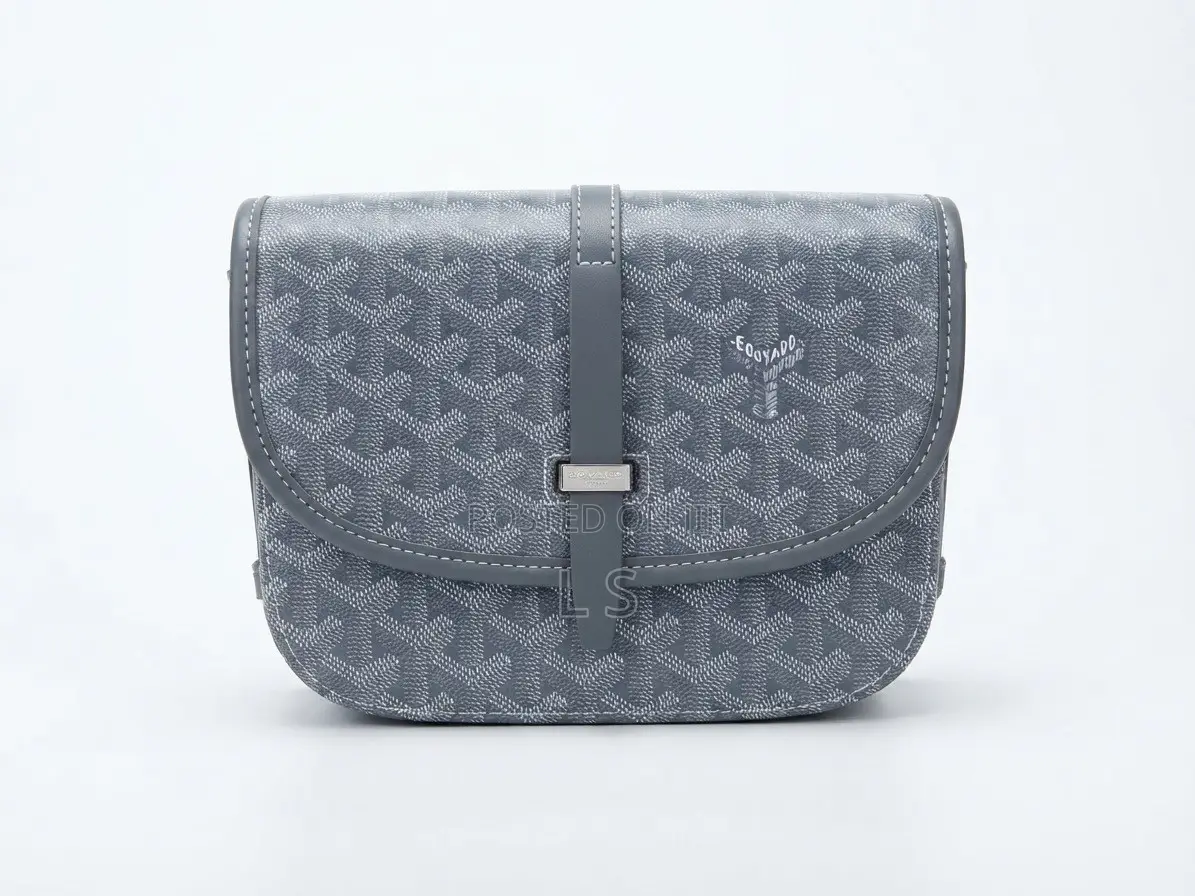 Goyard Belvedere Bag (Grey)