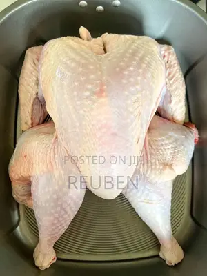 Dressed Broiler’s for Sale Kg
